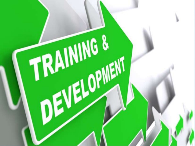 Training And Development